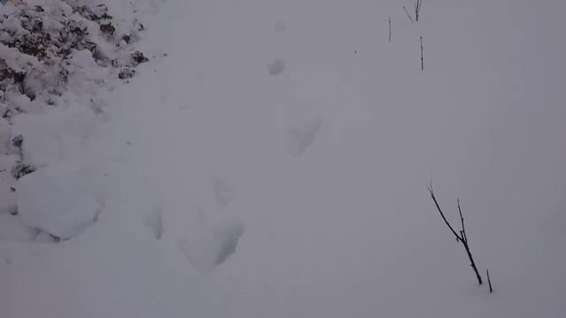 T150k clean snow 2017..mp4 смотреть онлайн