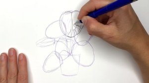 HOW TO DRAW A MONSTERA PLANT Step by Step Pencil Drawing Tutorial. Swiss cheese plant pencil sketch