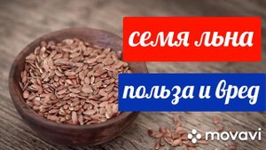 Польза и вред семян льна.
