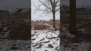 катаемся на самодельном снегоходе , из бензопилы дружба ,последний снег