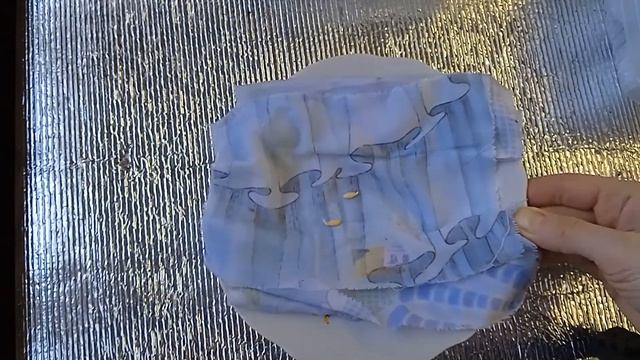 Ранний посев огурцов, кабачков, свеклы. Рассада огурцов, кабачков, свеклы. смотреть онлайн