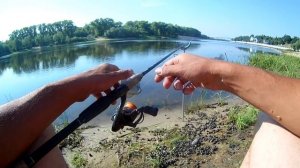 Ловля БЕЛОЙ РЫБЫ на тухлую ракушку ЗАКИДУШКОЙ