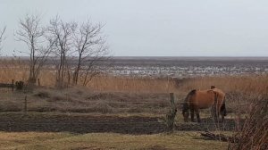 Ейское Укрепление 4 февраля 2022