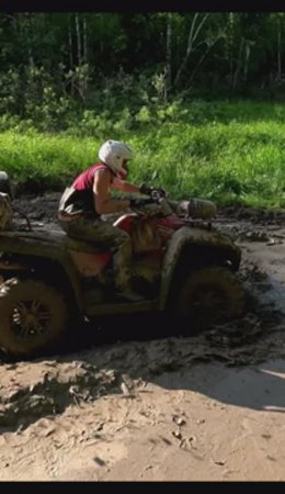 Что за зверь такой Bison ATV 320 #shorts