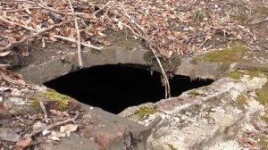 Вы такого ещё видели! Что сeгодня можно найти в лесу гуляя с прибором.