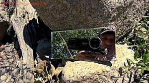 Александрит нашёл среди камней