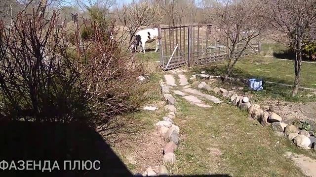 Тушёнка из утки и пр. смотреть онлайн