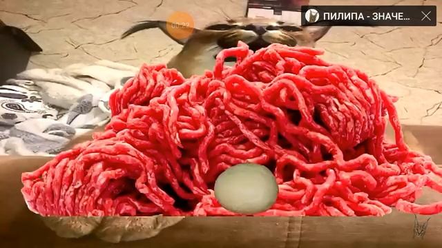 шлёпа рассказывает как готовить пельмени (шлёпа мем) смотреть онлайн