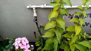 Система полива цветочных клумб