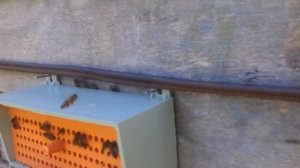 ОТВЕТЫ на ВОПРОСЫ#  Переезд с Азии# МЕНЯ РАЗВЕЛИ# Почему дневник  КАЗАЧКИ