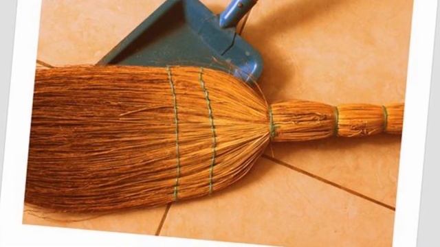 инфоурок. Русский язык. диалектзимы