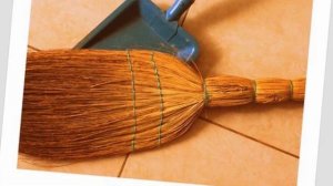 инфоурок. Русский язык. диалектзимы