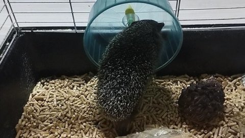 Подготовка к лету🥰