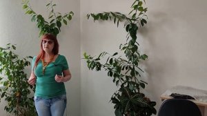 Взрослый сын не работает как заставить и что делать.
