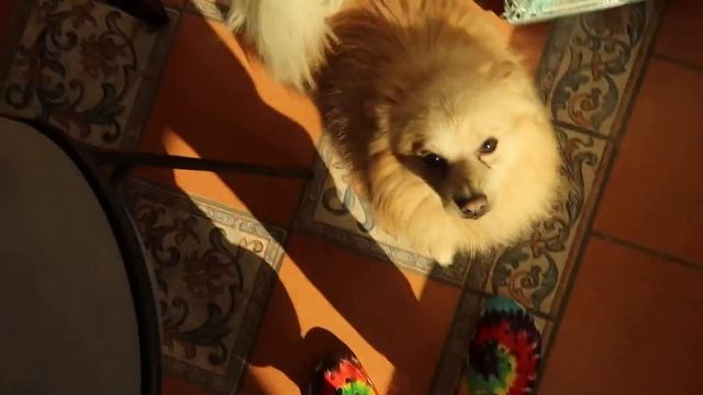 PASAMOS LA NOCHE EN EL HOTEL MEJOR VALORADO DE MI CIUDAD! смотреть онлайн