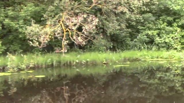 Сплав по реке Снов. Июнь 2021. смотреть онлайн