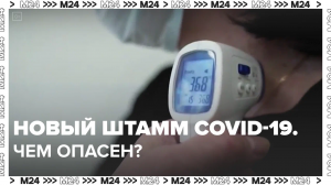 Новый штамм коронавируса зафиксировали в Москве — Москва 24 | Контент