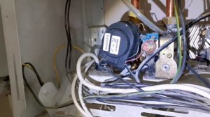 Пауки, мухи и прочие  в Electrolux GCB 32 HI-TECH Fi