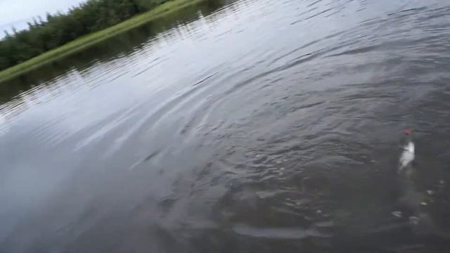 Собь 2021. Щучий драйв 2. смотреть онлайн