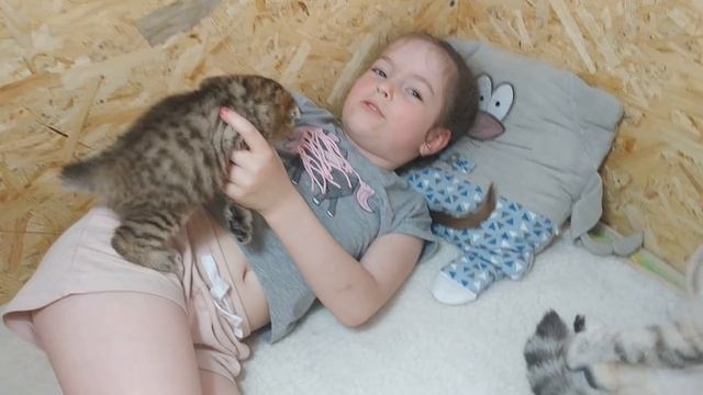 Ребенок Мама кошка и милые котята любовь для семьи Так мило котята мяукают Счастливый день