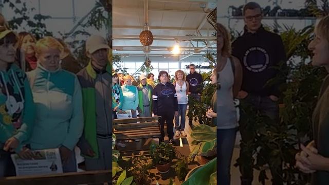 Как вырастить банан в домашних (комнатных) условиях? смотреть онлайн