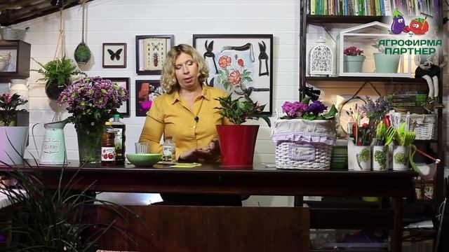 КАК БОРОТЬСЯ С БЕЛОКРЫЛКОЙ
