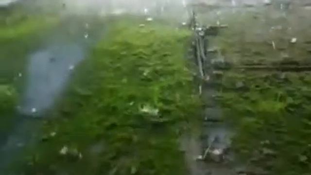 Заброшенное административное здание свинофермы смотреть онлайн