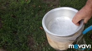 СОЛЕНЫЕ ГРУЗДИ холодным способом.