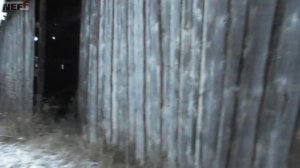 Старая амбарная доска, Ретро-доска для интерьера в стиле лофт, нашли старый зерноток ему 50 лет.
