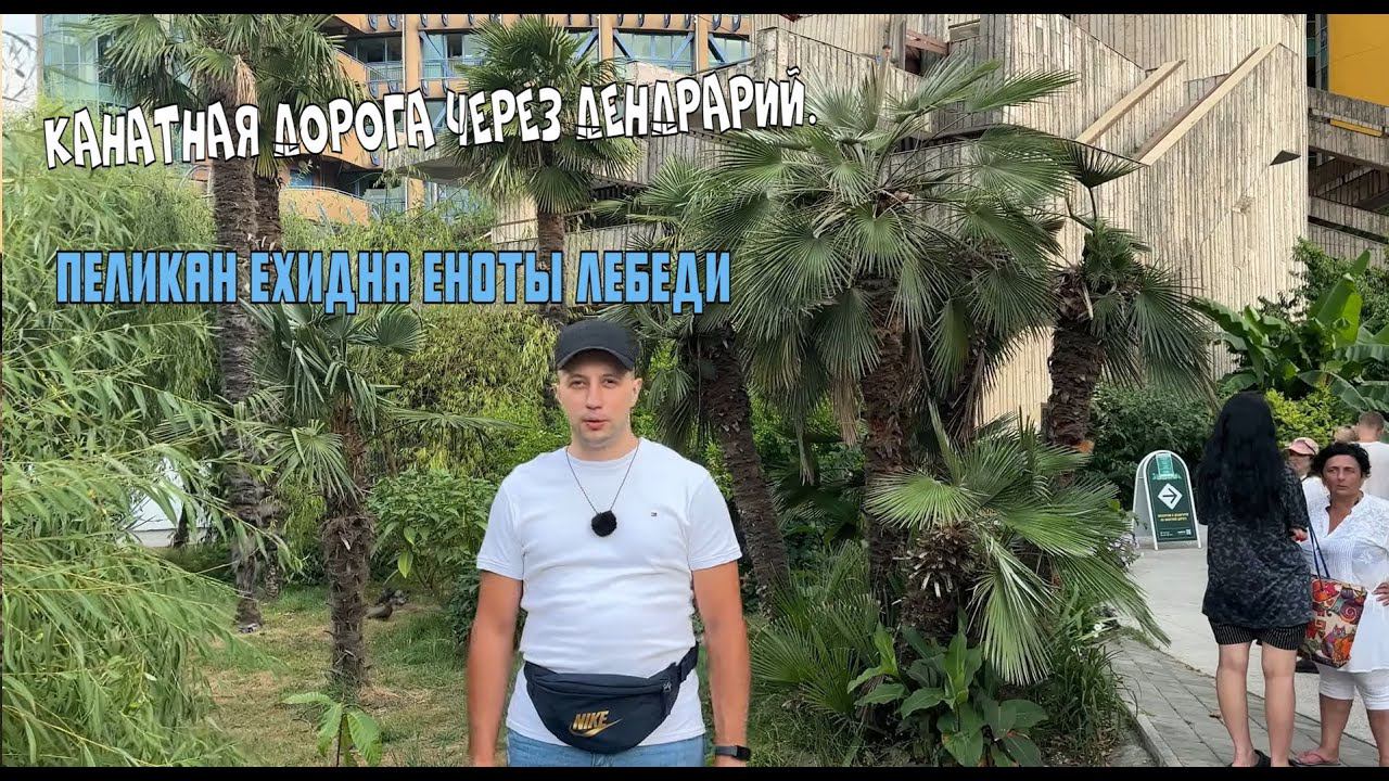 ТОП МЕСТА СОЧИ 5 КАНАТНАЯ ДОРОГАЯ И НИЖНИЙ ДЕНДРАРИЙ