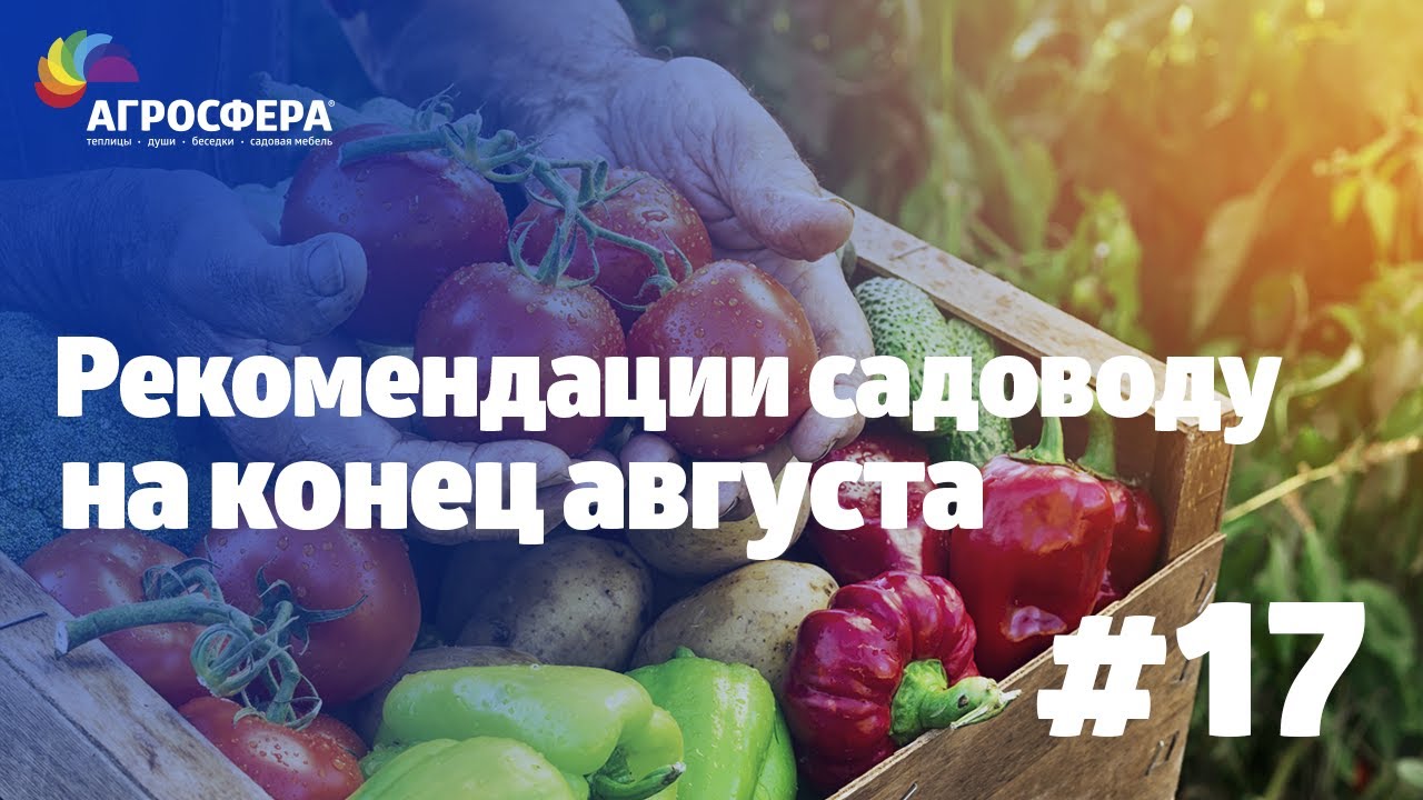 Советы для дачи и сада #17 - рекомендации для дачи и сада на конец августа / агросфера.рф смотреть онлайн