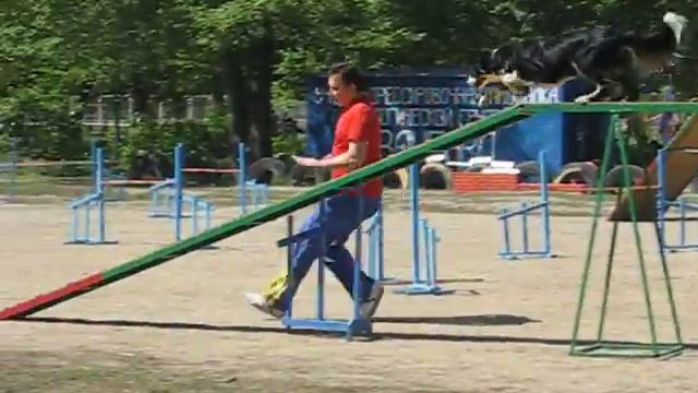 бентли аджилити.avi смотреть онлайн