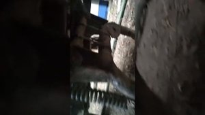В двигателе скутера металлический звон