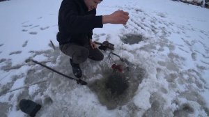 ЛОВЛЯ РАКОВ ЗИМОЙ, ПРАВДА или МИФ ?!