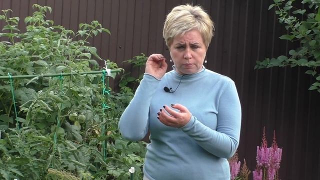 ПОЧЕМУ НЕ КРАСНЕЮТ ТОМАТЫ И КАК РЕШИТЬ ЭТУ ПРОБЛЕМУ!! смотреть онлайн