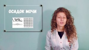Разбор Общего Анализа МОЧИ