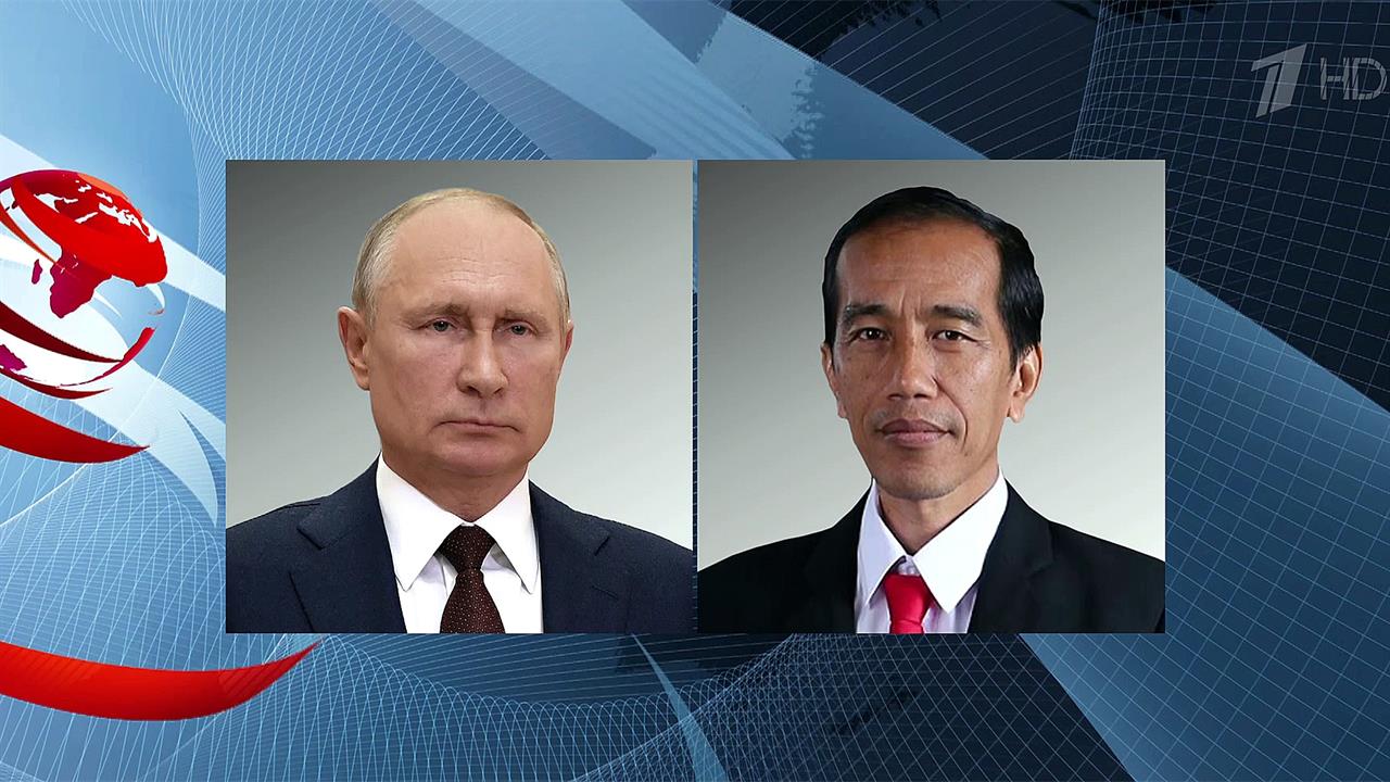 Владимир Путин обсудил с президентом Индонезии глобальную продовольственную безопасность