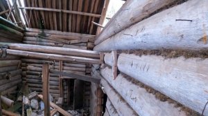 Едем за грибами в лес. Где растут рыжики.