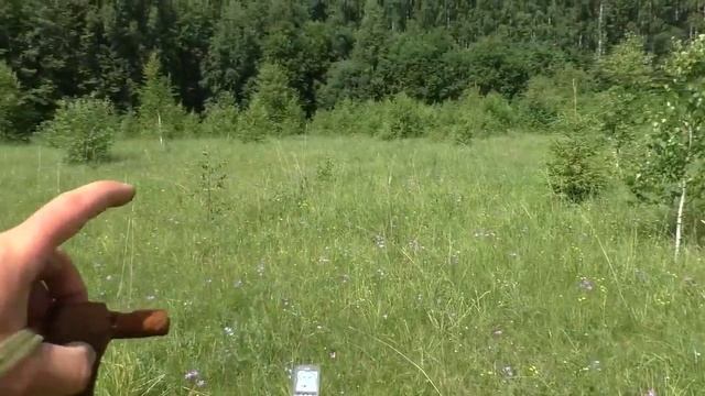 Находки у заброшенного кладбища † Поиск монет