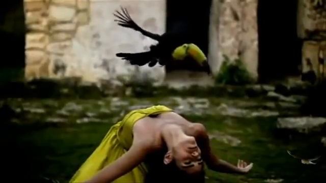 Моё Сердце улетает!.avi смотреть онлайн