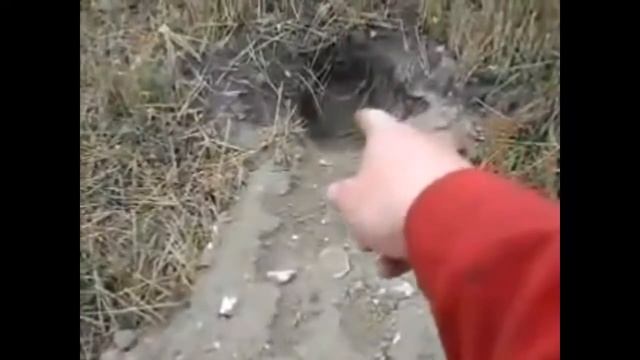 Рабочий барсучий нора смотреть онлайн