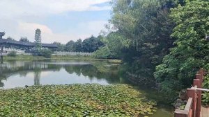 Changsha \ Чанша А что ты найдешь в этом городе?