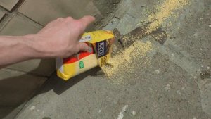 Запретное пшено для голубей дубль-2