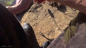 Семейная Рыбалка с Ночевкой на Оке! Нашёл СОМЯЧЬЕ ЛОГОВО! НАНОКОВРИКИ для ДАСТЕР!