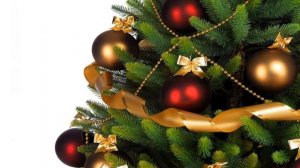 Пранк с Валентиной Петровной - Аносова и перепись квартиры