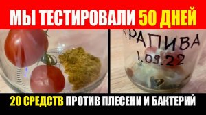 Прошло 50 дней. Тест 20 средств против плесени и бактерий. Помидоры На Зиму