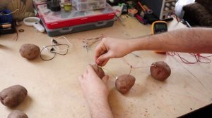 Получаем электричество из обыкновенной картошки