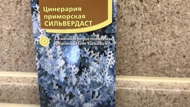 Посев семян цинерарии на рассаду.