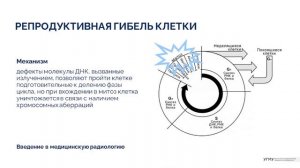 Лекция "Введение в медицинскую радиологию"