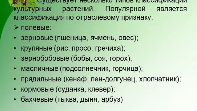СКАЧАТЬ ПРЕЗЕНТАЦИЮ БЕСПЛАТНО.РУ